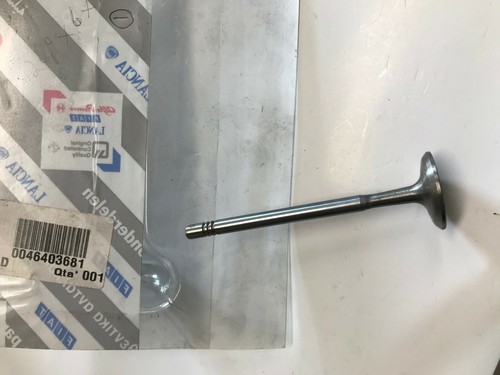 46403681 8x6x95 1 pz - 46403681,